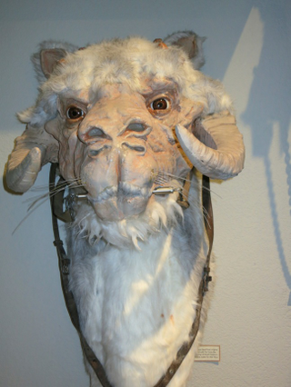 Illustration for article titled My Visit to the Ultimate Treasure Trove of Star Wars Memorabilia